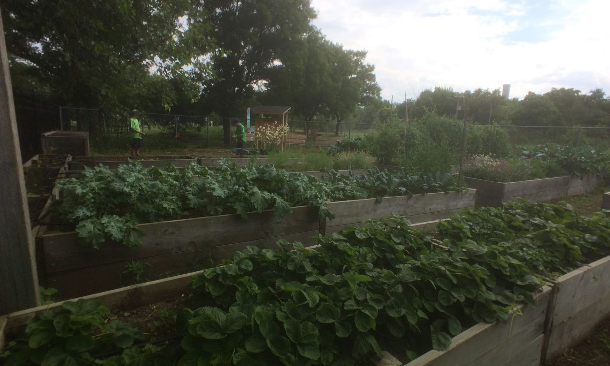Urban Agriculture & Food Systems Convening: